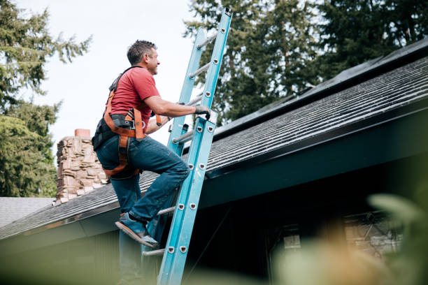 Best Metal Roofing Installation  in Tontitown, AR