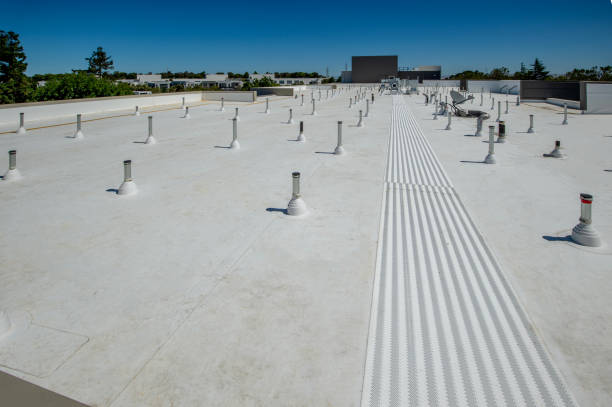 Best Roof Ventilation Installation  in Tontitown, AR